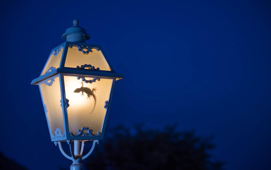 Romantic Hotel & Restaurant Villa Cheta Elite Maratea Ngoại thất bức ảnh